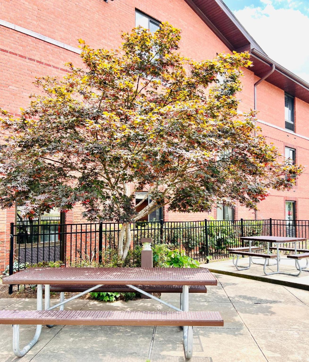 Mainstay Suites Little Rock West Near Medical Centers Buitenkant foto
